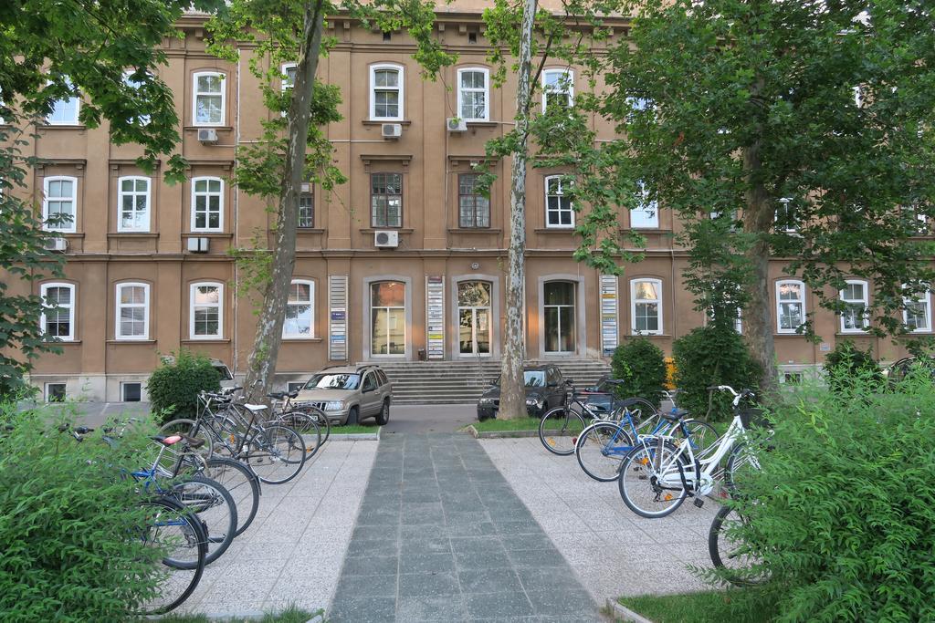 Tobacna Yellow Apartment